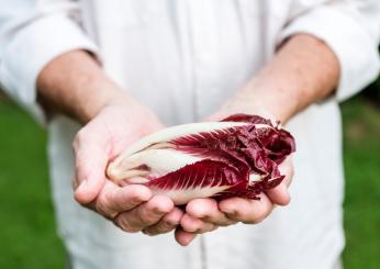 A cosa fa bene il radicchio rosso? Non è ottimo solo per il cuore