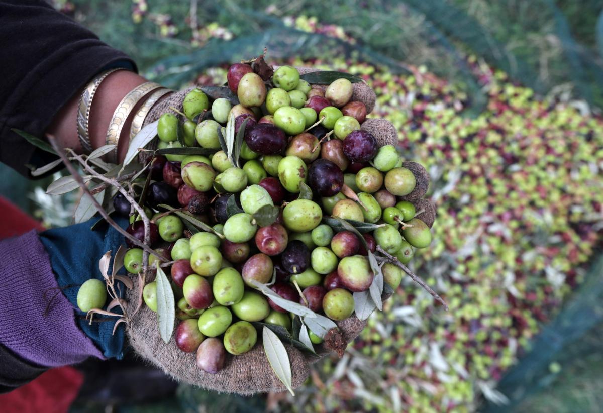 Hub enogastronomici: quasi il 70% degli italiani li vuole