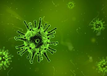 E’ stato scoperto che i virus sono anche una fonte di nutrimento. Ecco i “virovori” predatori!