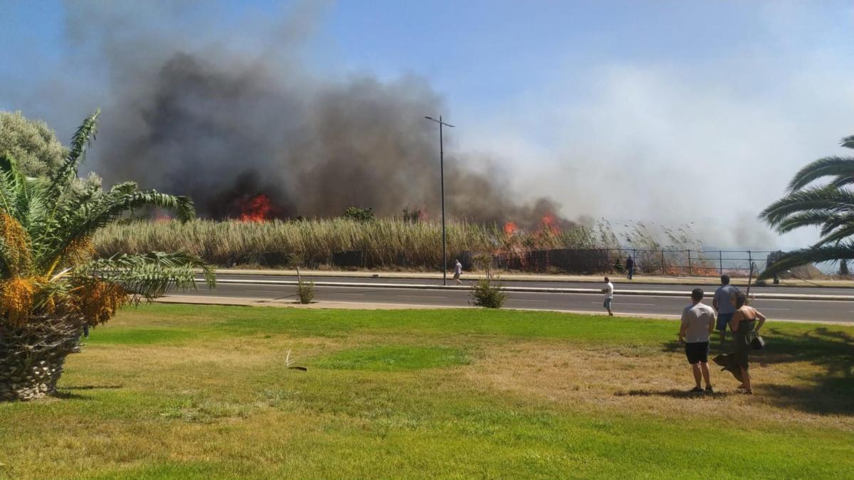 Incendi in Sardegna dove? Ecco la mappa dei roghi. La situazione oggi