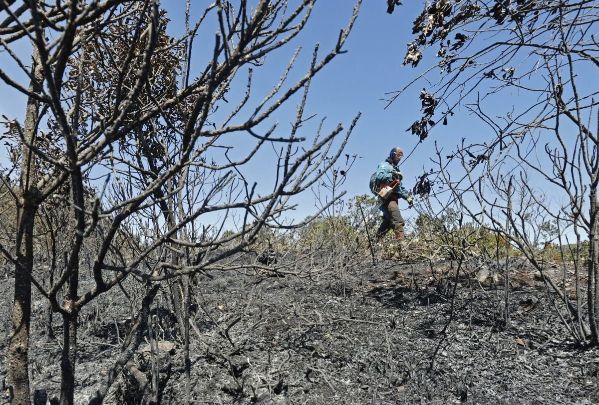 Caldo record in Colombia, incendi boschivi consumano un’ampia fascia dell’ecosistema