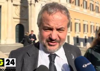 Le reazioni alla mancata ratifica del Mes. Borghi: “Il trattato è m…