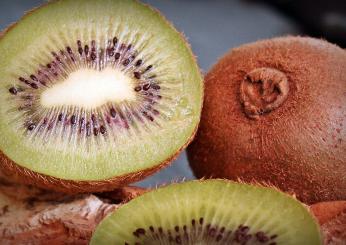 Ricco di fibre e povero di calorie, ecco quali sono i benefici del kiwi