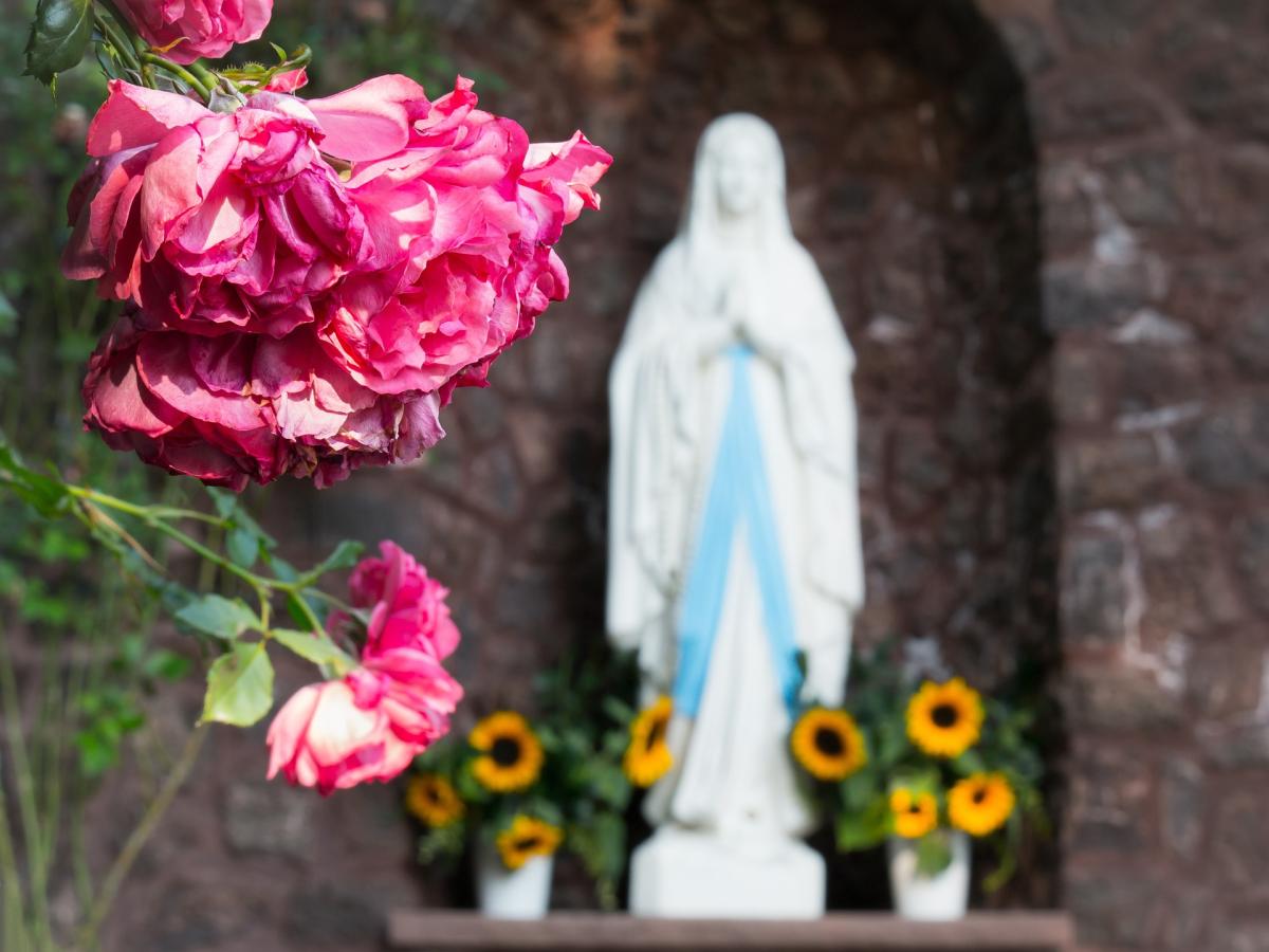 “La statua della Madonna ha pianto anche a Viterbo”: la testimonian…