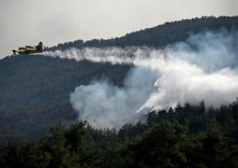 Trapani, incendio ad Alcamo: fiamme vicino alla SP55