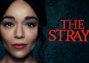 Se ami i Thriller psicologici agghiaccianti, non puoi perderti “The Strays” su Netflix