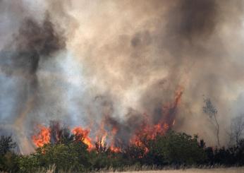 Marina di Pulsano (Taranto) devastata da un maxi incendio: piromane trasportato in carcere. Cosa è successo lo scorso 30 luglio 2024?