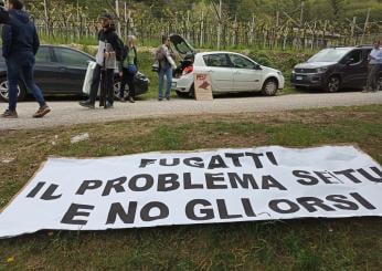 Trentino, domani la manifestazione contro il ddl ammazza-orsi. Vitturi (LAV): “Gli animali non possono pagare le colpe di Fugatti”