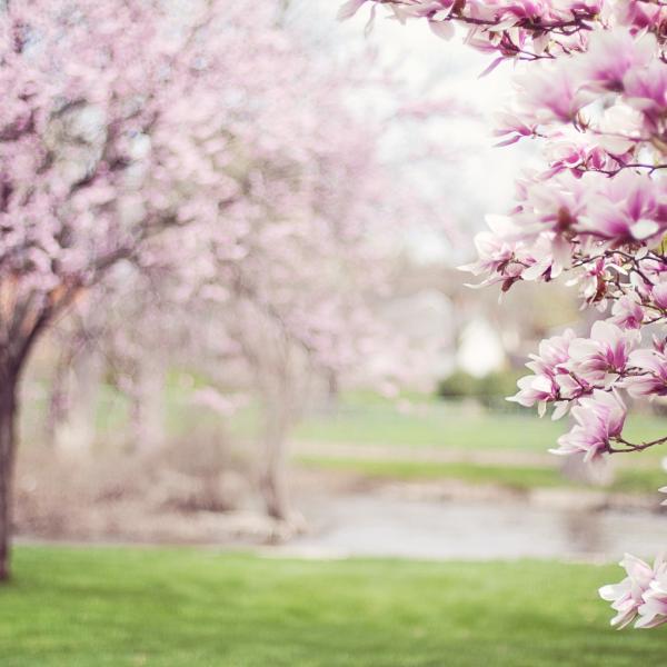 Sonnolenza da primavera, cause e rimedi