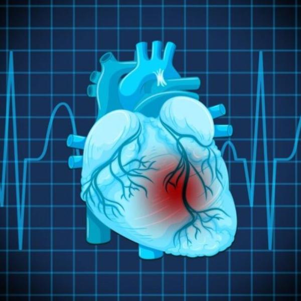 Quali sono i segnali di un’insufficienza cardiaca, le cure esistenti e l’aspettativa di vita