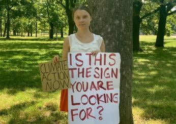 Caldo record, Greta Thunberg torna a postare: “Siamo davanti a un’emergenza”