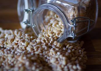 Farro, ricette calde, facili e gustose