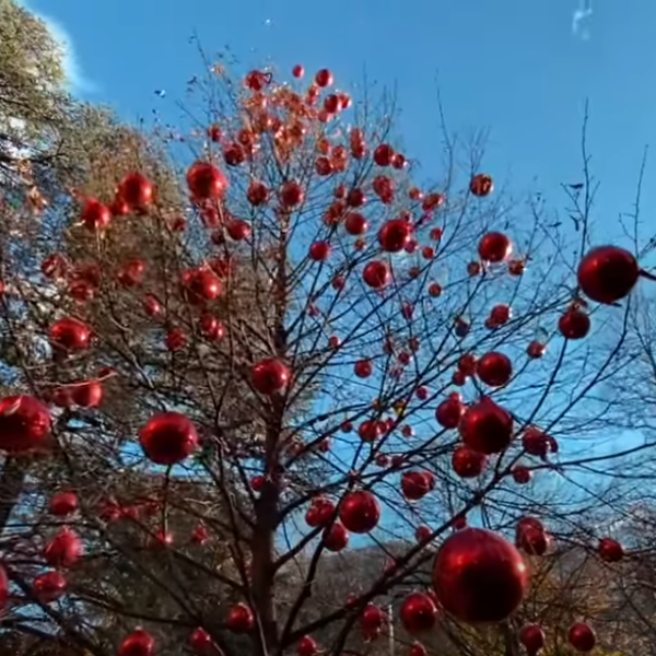 Il 24 dicembre è un giorno festivo o si lavora?