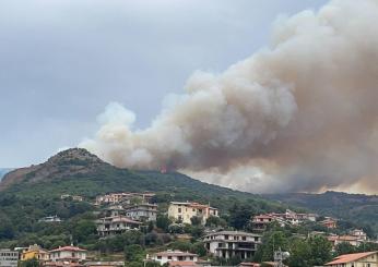 Incendi, Sicilia la regione più colpita. In Italia nel 2021 è andato in fiamme il triplo degli ettari del 2020