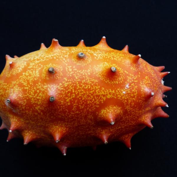 Cos’è e come si mangia il kiwano