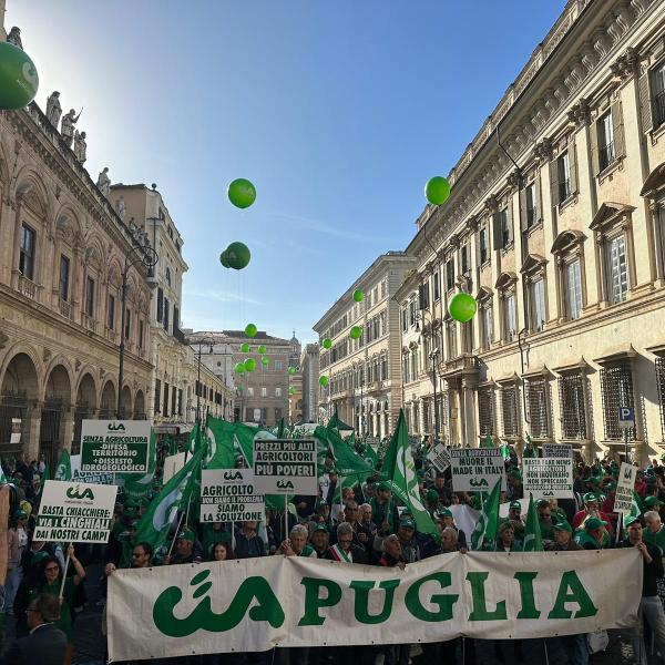 Manifestazione agricoltori oggi a Roma, Fini (Cia): “Servono interventi, noi non siamo il nemico” | VIDEO