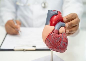 Ricerca tutta italiana: ecco come far rigenerare un cuore colpito da infarto