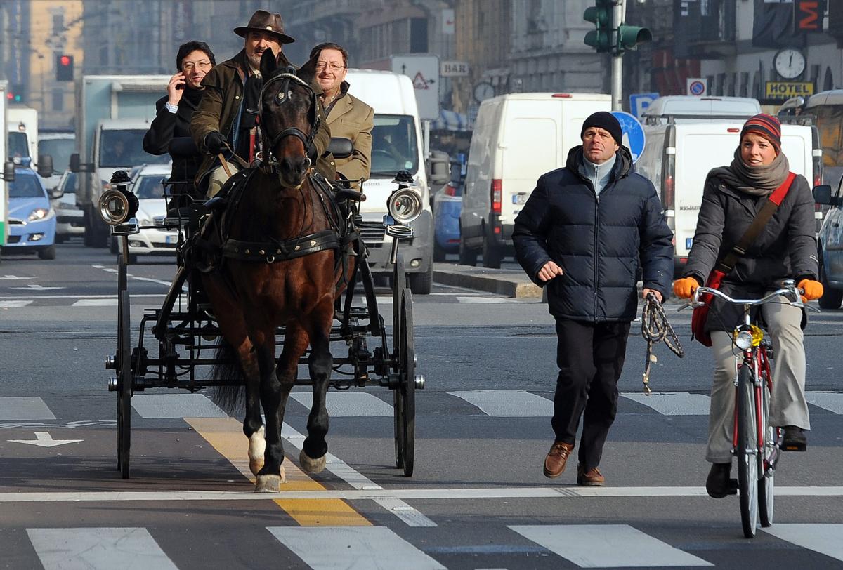 Palermo, incidente a via Cavour: un cavallo è stramazzato a terra