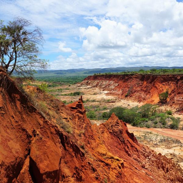 Cambiamenti climatici: allarme in Madagascar per la siccità