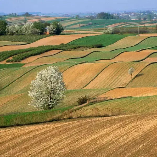 Coldiretti maltempo siccità, perdite da 6 miliardi