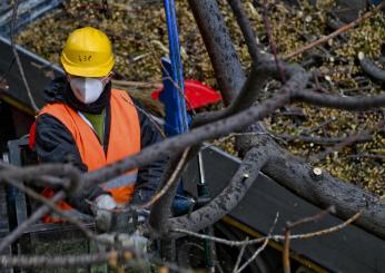 Oristano, precipita per 8 metri mentre sta potando un albero: morto un vigile urbano