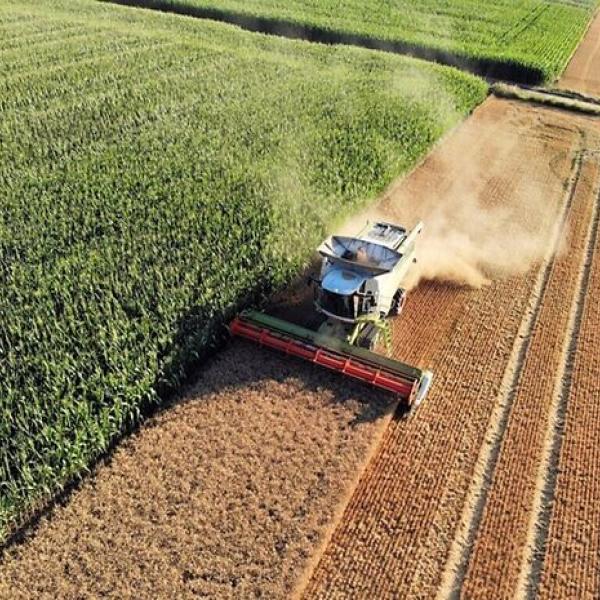 Nuovo bonus imprese agricole 2024, contributi fino al 45%: ecco chi può fare domanda e per quali spese