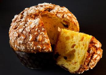 Panettone Maximo, la festa del lievitato artigianale torna a Roma