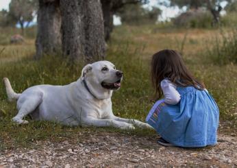 Roma, bimba di 2 anni aggredita da un cane: è in prognosi riservata