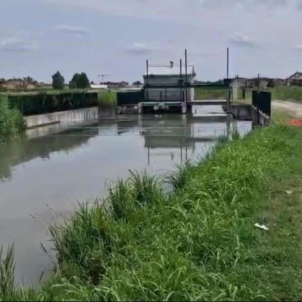 Chi era Erika Boldi, la 26enne trovata morta nel fiume Tartaro a Verona e cosa sappiamo dei suoi ultimi istanti di vita