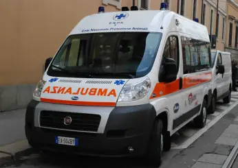 Roma, come sta la bimba aggredita dai cani della nonna ad Anguillara Sabazia: condizioni stazionarie