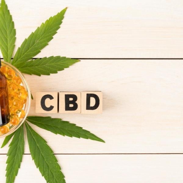 CBD di nuovo vietato in Italia, ma perché per alcuni è indispensabi…