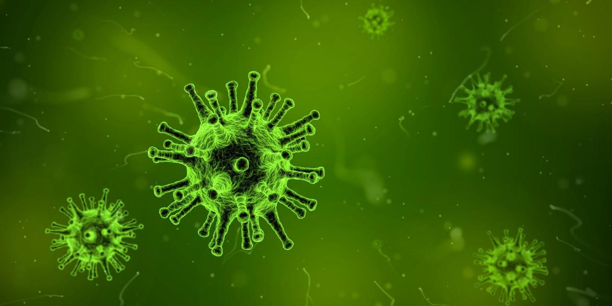 E’ stato scoperto che i virus sono anche una fonte di nutrimento. E…