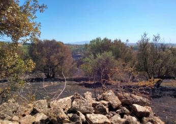 Incendio a Burcei in Sardegna, ettari di macchia mediterranea in fumo