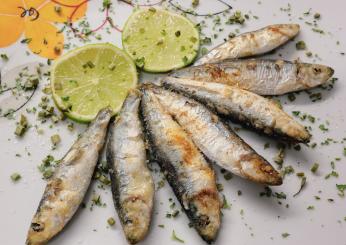 Come cucinare le sarde? 3 ricette da assaggiare