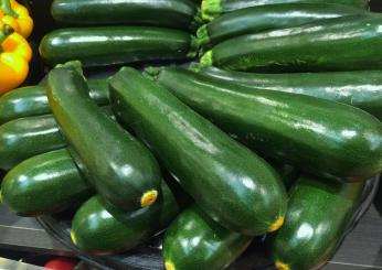 Zucchine sott’olio: ricetta della nonna per gustarle fuori stagione