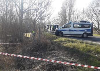 Tragico incidente a Schio,  24enne muore schiantandosi contro un pl…