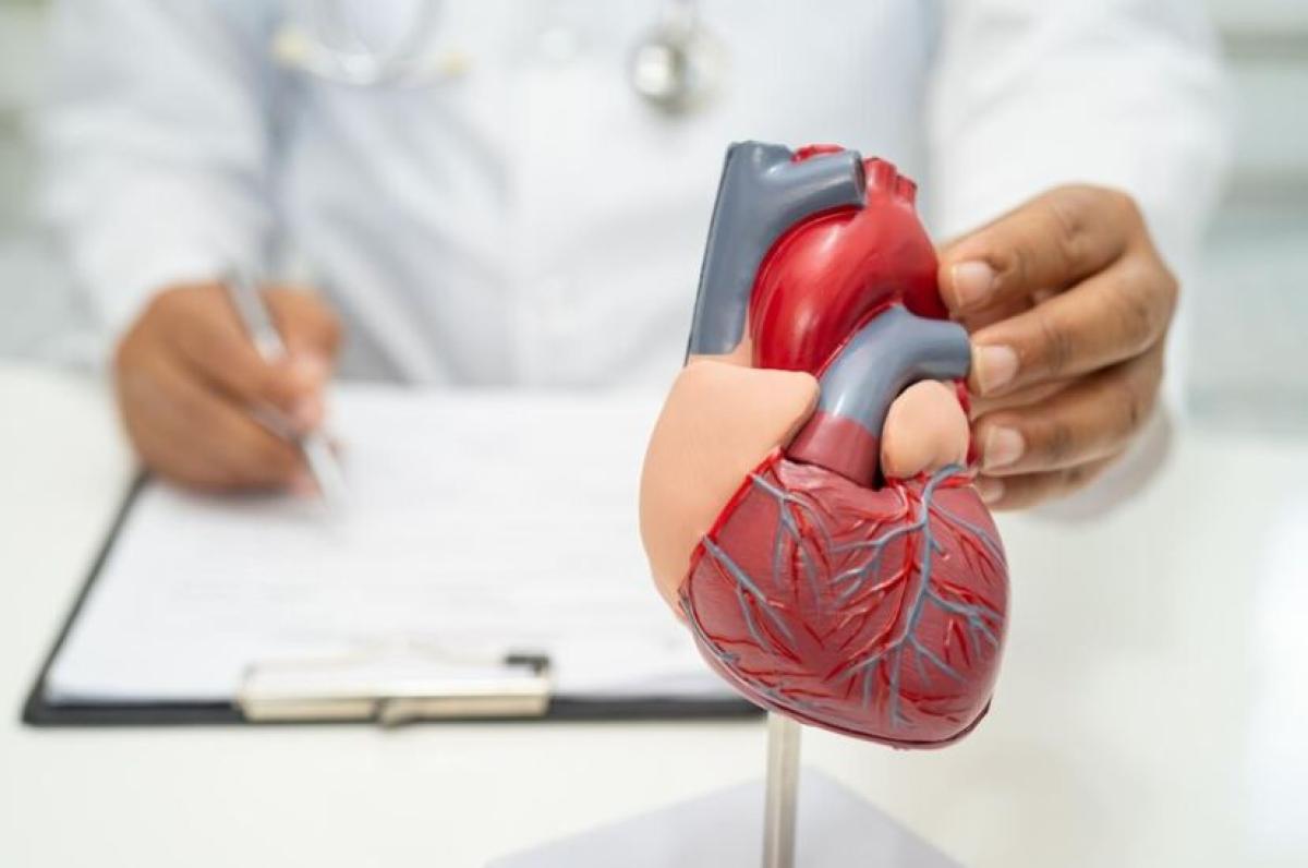 Ricerca tutta italiana: ecco come far rigenerare un cuore colpito da infarto