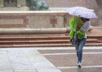 Maltempo, in Emilia allerta grandine e pioggia: danni e disagi in provincia| VIDEO