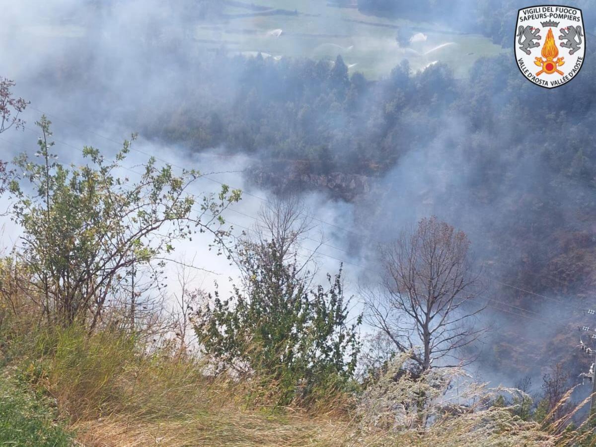 Gallipoli, scoppia un incendio nelle campagne: interviene un Canadair