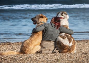 Spiagge migliori italiane con accesso ai cani 2024: le più adatte al vostro amico a quattro zampe