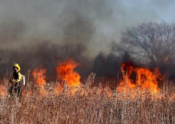 Incendio sul Carso: continui disagi a Trieste e probabile blackout in arrivo