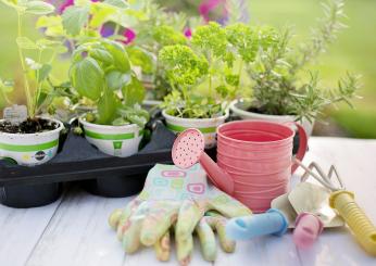 Garden Therapy: cos’è, le sue origini e i benefici di questa pratica