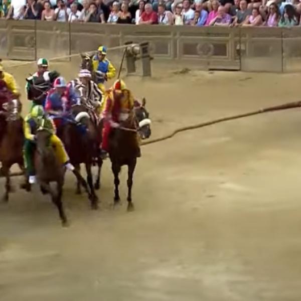 Palio di Siena 2023, chi ha vinto la Provaccia del 16 agosto?