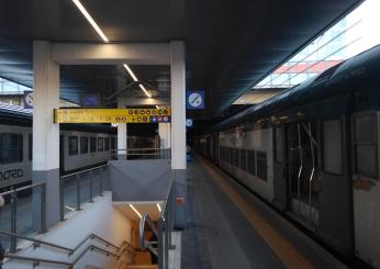 Milano Garibaldi aggressione sul treno: uomo accoltellato al collo