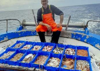 Contributi pescatori autonomi 2024: l’INPS comunica le nuove aliquote