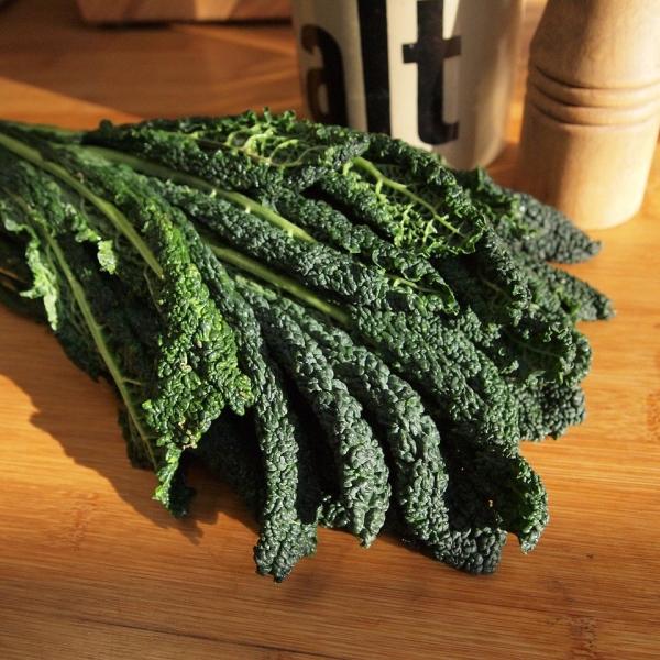 Il cavolo nero: come cucinare il superfood dei mesi freddi