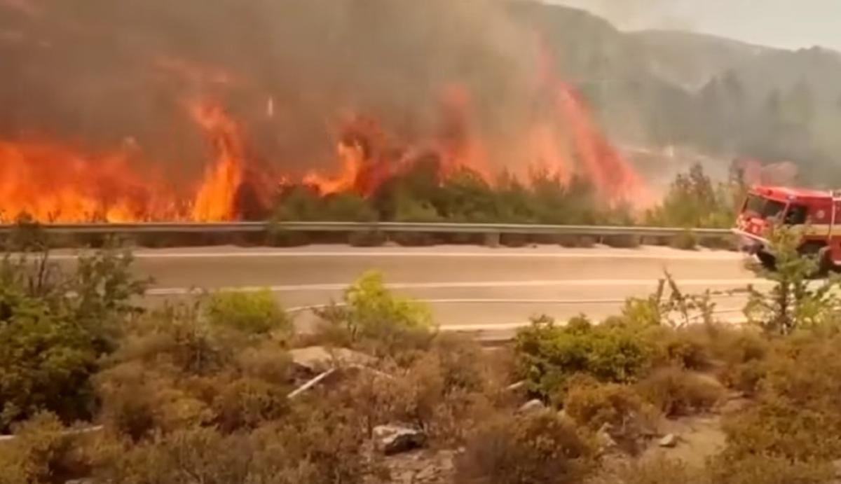 Perché appiccano gli incendi? I motivi che muovono i piromani