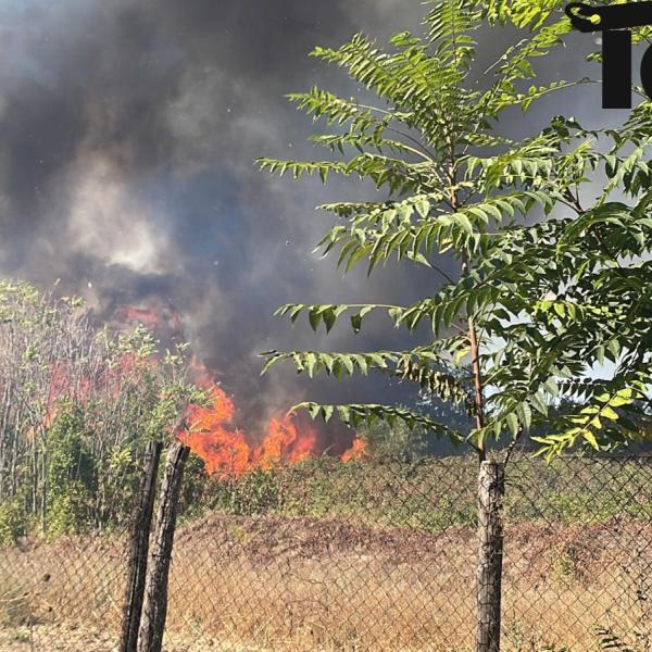 Incendio a Cinecittà oggi: cosa è successo al “Pratone”? Fiamme alte e fumo nero a Roma est | FOTO e VIDEO