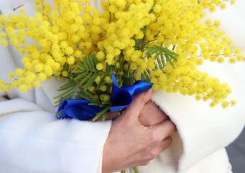 Milano, sulla facciata dell’ospedale Niguarda un murale contro la violenza sulle donna. Dedicato al mito di Dafne