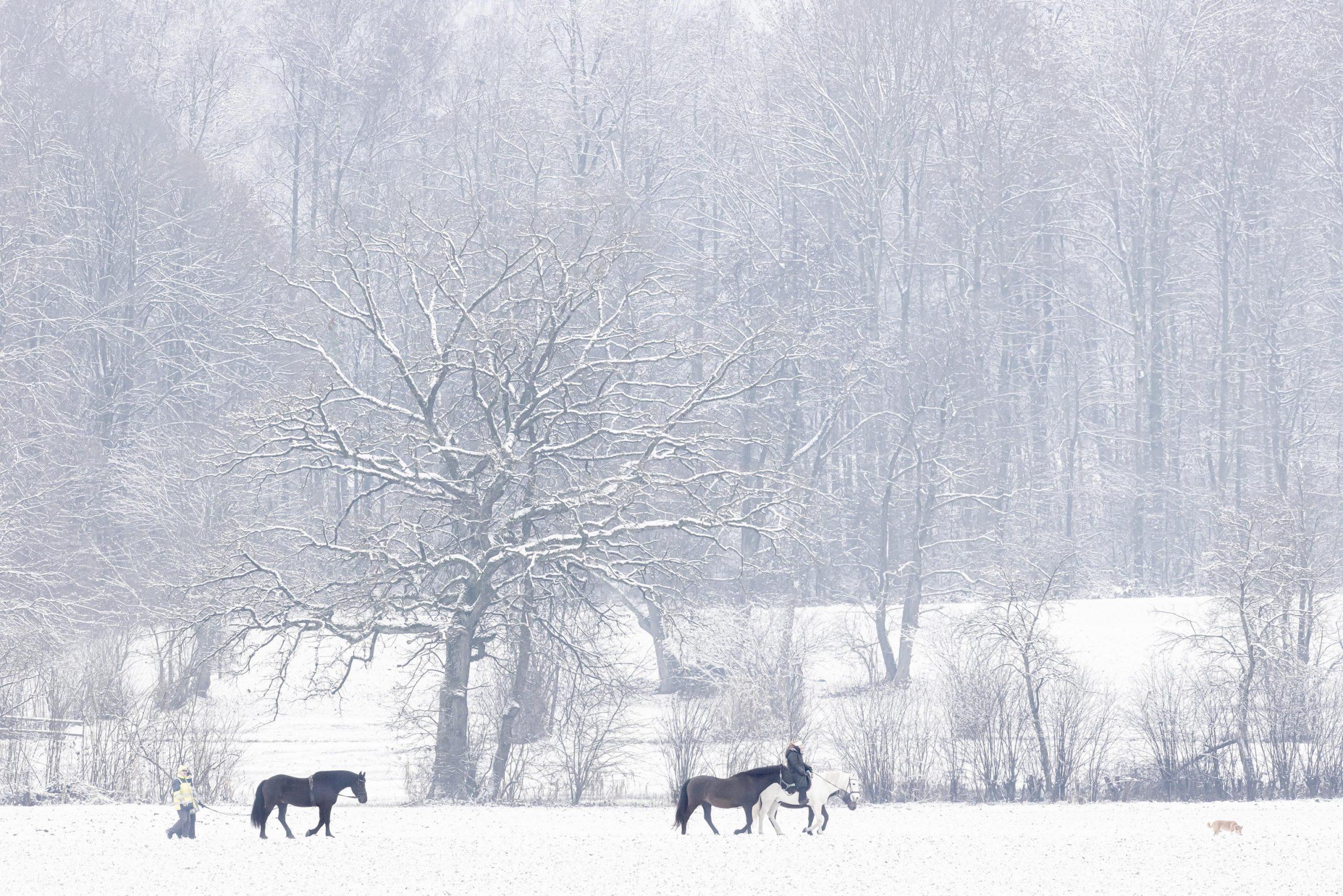 Solstizio d’inverno: ecco perché il 21 dicembre è il giorno più corto dell’anno